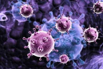 О новой пандемии с 75-процентной смертностью предупредили ученые