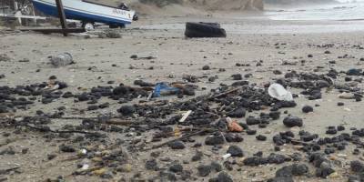 Экологическая катастрофа у берегов Израиля: видимо, найден источник