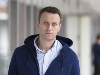 Заплатит штраф: суд признал Навального виновным по делу об "оскорблении ветерана"