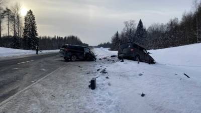 В ДТП в Карелии погиб водитель иномарки