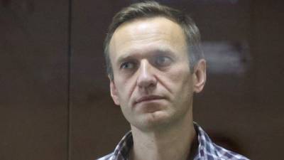 «Как слону дробина»: адвокат оценил приговор Навальному по делу о клевете