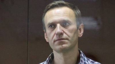 Как слону дробина: адвокат оценил приговор Навальному по делу о клевете