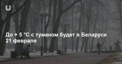 До + 5 °C с туманом будет в Беларуси 21 февраля