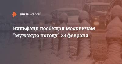 Вильфанд пообещал москвичам "мужскую погоду" 23 февраля