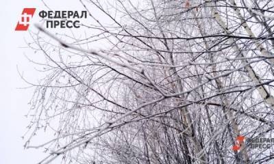 Россиян предупредили о морозах на 23 февраля