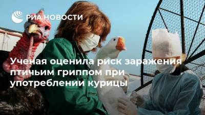 Ученая оценила риск заражения птичьим гриппом при употреблении курицы