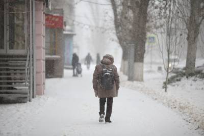 В Волгоград 21 февраля придет небольшой снег при -5