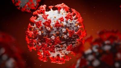 Мир столкнулся с новой загадкой коронавируса