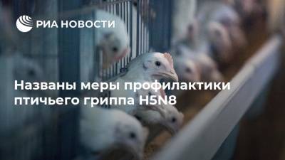 Названы меры профилактики птичьего гриппа H5N8