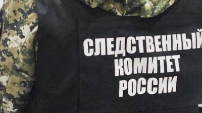 Полиция ищет виновных в избиении девочки в интернате на Сахалине - nation-news.ru - район Сахалина