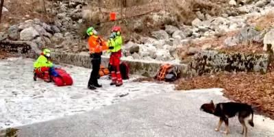 В Альпах пес помог выжить мужчине, который семь дней пролежал в горах с переломом ноги