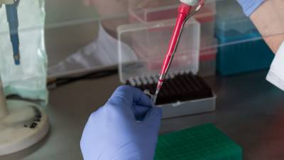 Австрийские ученые выяснили, как долго сохраняется иммунитет к SARS-CoV-2