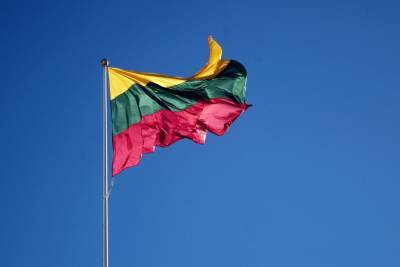 Литва взялась диктовать будущее Грузии и Молдавии