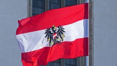 Австрия рекомендует ЕС "не пилить сук, на котором сидит" санкциями против РФ