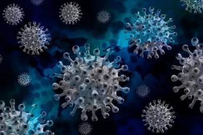 В Австрии назвали сроки сохранения иммунитета к коронавирусу