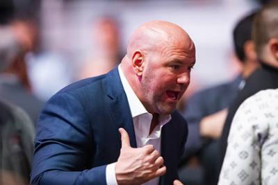 UFC пощадил нарушившего правила «бойцовского острова» немца