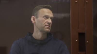 МИД Австрии: чрезмерная реакция по Навальному "отпилит сук", на котором "сидит" ЕС