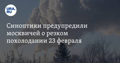Синоптики предупредили москвичей о резком похолодании 23 февраля. «Это рекорд за 65 лет»