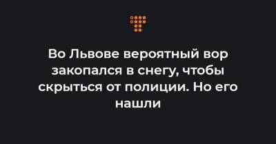 Во Львове вероятный вор закопался в снегу, чтобы скрыться от полиции. Но его нашли