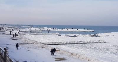 На побережье в Зеленоградске десятки людей вышли на лёд (фото)