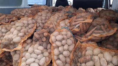 Стремительный рост цены картофеля зафиксирован на Украине