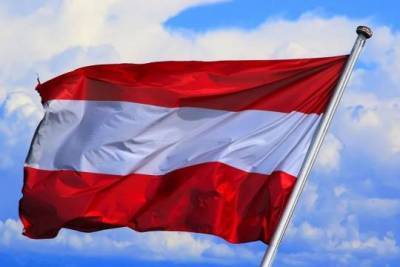 Глава МИД Австрии призвал Евросоюз «не рубить сук» в вопросе санкций против России