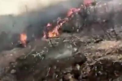 В Нигерии рухнул самолет с военными