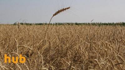 В Украине прогнозируют засухи