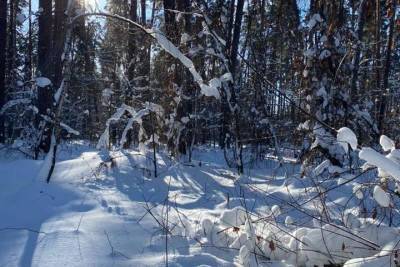 Погода в Рязанской области: в ночь на 22 февраля будет до 17 градусов мороза