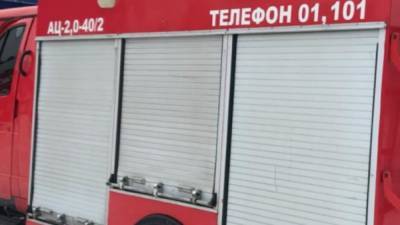Пятилетний мальчик умер при пожаре в Новой Москве