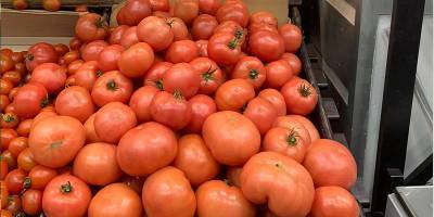 Нардеп Сергей Рудык не поймет, почему украинские помидоры дороже турецких - ТЕЛЕГРАФ