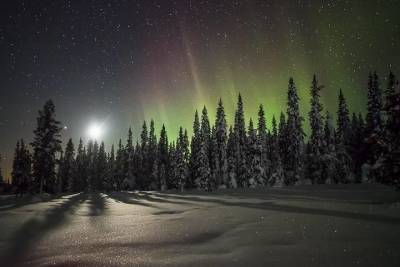Морозная погода и магнитная буря дали возможность костромичам увидеть северное сияние