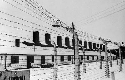 В Германии 7 солдат Вермахта проверяют на причастность к убийству советских пленных