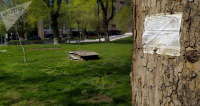 От анаконды до туалетной бумаги: самые странные объявления на армянской платформе продаж