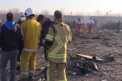 На Украине прокомментировали расследование крушения Boeing под Тегераном