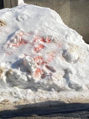 Во Львове могут действовать догхантеры: что делать, если вы увидели розовый снег