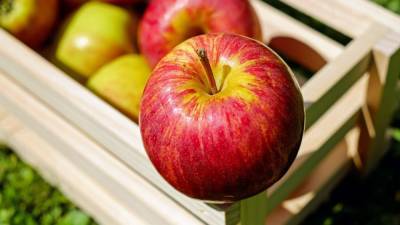 Стоматолог из Германии рассказал об опасности употребления яблок после еды