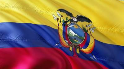 Андрес Араус и Гильермо Лассо стали лидерами первого тура выборов президента в Эквадоре