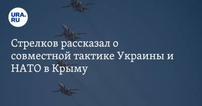 Стрелков рассказал о совместной тактике Украины и НАТО в Крыму