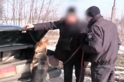 На Донбассе задержаны двое террористов «ДНР»