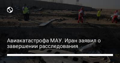 Авиакатастрофа МАУ. Иран заявил о завершении расследования