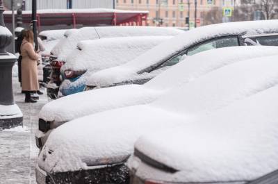 Петербуржцы готовы откапывать от снега чужие машины за 400 рублей