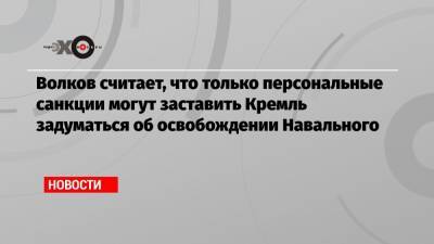 Волков считает, что только персональные санкции могут заставить Кремль задуматься об освобождении Навального