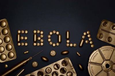 В Конго 4 человека умерли от Эболы и мира