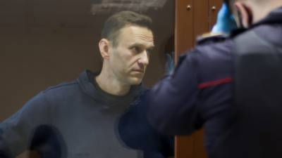 Волков и Жданов делят место Навального, пока блогер сидит в тюрьме
