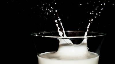 Производство обогащенного селеном молока началось в Архангельской области