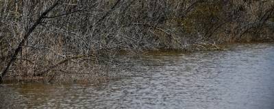 В Волгоградской области готовятся расчищать реку Царица