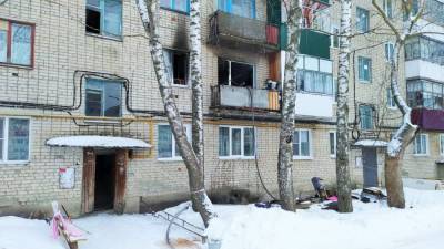 Мордовские пожарные вытащили из огня двоих детей