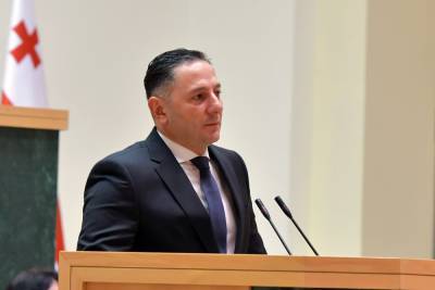 В МВД Грузии работают над вопросом ареста главы партии Саакашвили