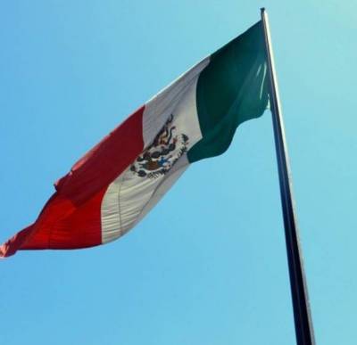 В Мексике упал военный самолет, погибли семь человек (видео)